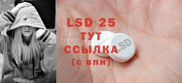 ПСИЛОЦИБИНОВЫЕ ГРИБЫ Вяземский