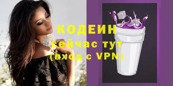 ПСИЛОЦИБИНОВЫЕ ГРИБЫ Вяземский
