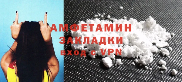 ПСИЛОЦИБИНОВЫЕ ГРИБЫ Вяземский