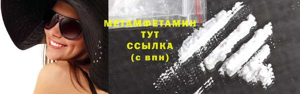 ПСИЛОЦИБИНОВЫЕ ГРИБЫ Вяземский