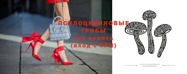 ПСИЛОЦИБИНОВЫЕ ГРИБЫ Вяземский