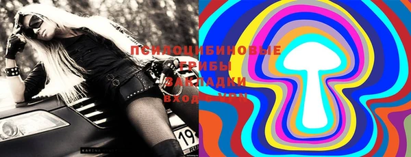 ПСИЛОЦИБИНОВЫЕ ГРИБЫ Вяземский