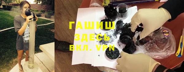 ПСИЛОЦИБИНОВЫЕ ГРИБЫ Вяземский