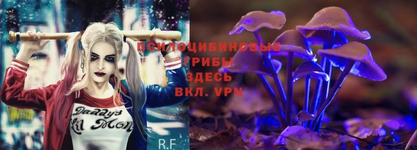таблы Вязники