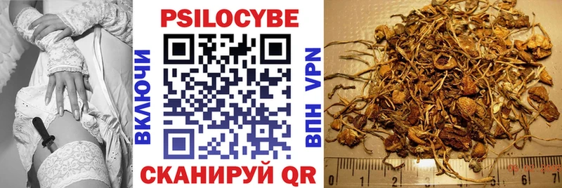 Купить закладки  Верещагино  Галлюциногенные грибы Psilocybe 